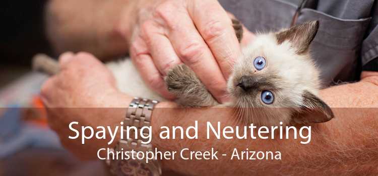 Spaying and Neutering Christopher Creek - Arizona