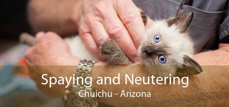 Spaying and Neutering Chuichu - Arizona