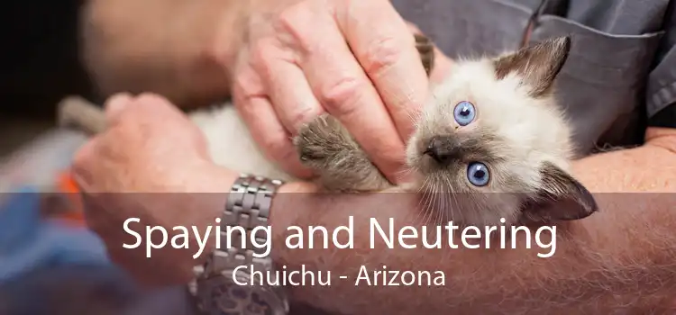 Spaying and Neutering Chuichu - Arizona