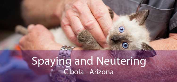 Spaying and Neutering Cibola - Arizona