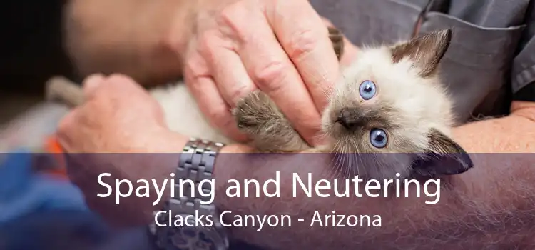 Spaying and Neutering Clacks Canyon - Arizona