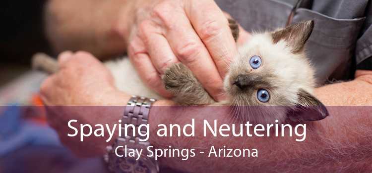 Spaying and Neutering Clay Springs - Arizona