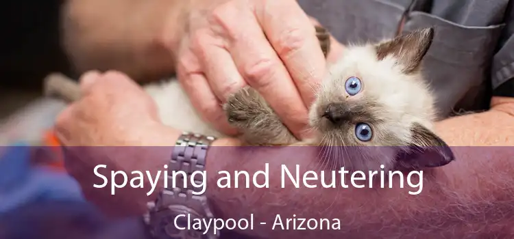 Spaying and Neutering Claypool - Arizona