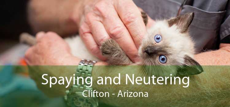 Spaying and Neutering Clifton - Arizona
