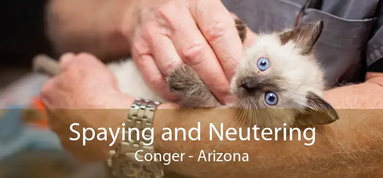 Spaying and Neutering Conger - Arizona