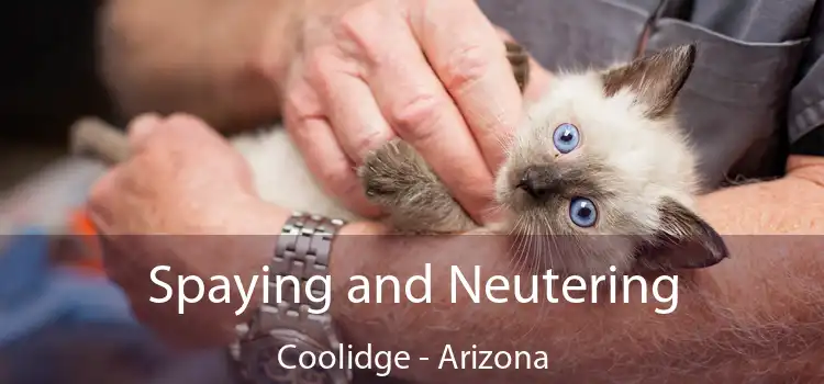 Spaying and Neutering Coolidge - Arizona