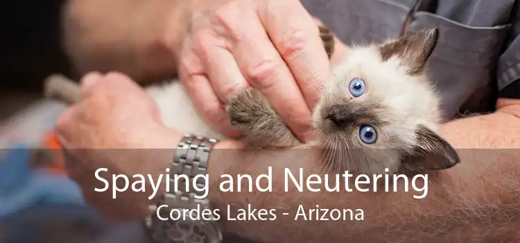 Spaying and Neutering Cordes Lakes - Arizona
