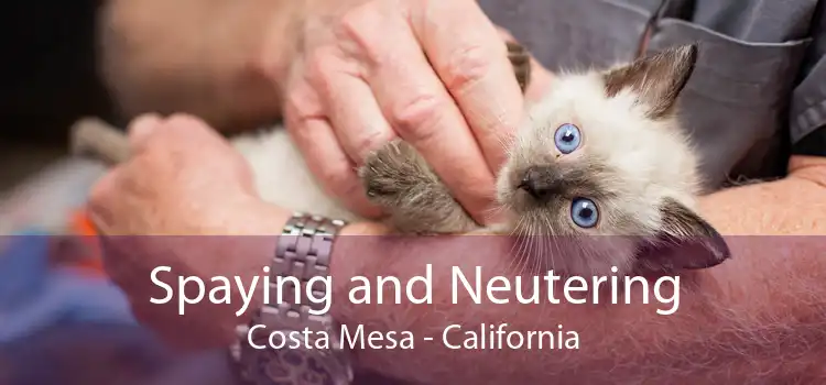 Spaying and Neutering Costa Mesa - California