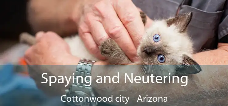 Spaying and Neutering Cottonwood city - Arizona