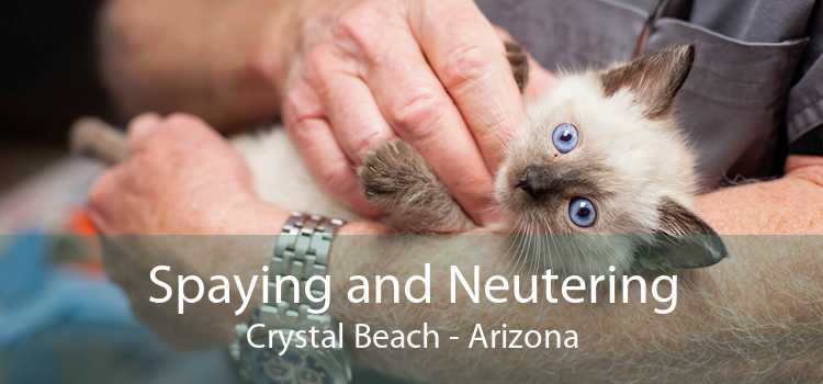 Spaying and Neutering Crystal Beach - Arizona