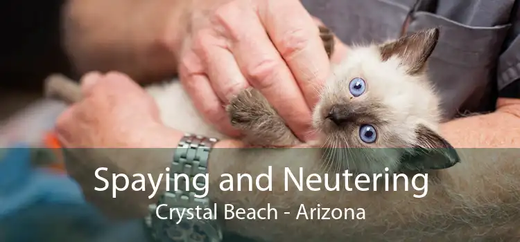 Spaying and Neutering Crystal Beach - Arizona