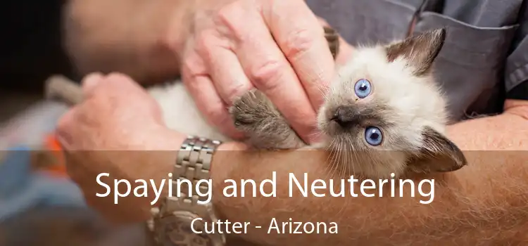 Spaying and Neutering Cutter - Arizona