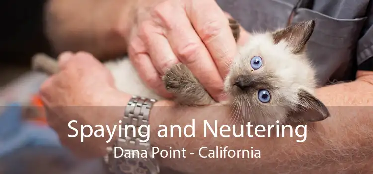 Spaying and Neutering Dana Point - California