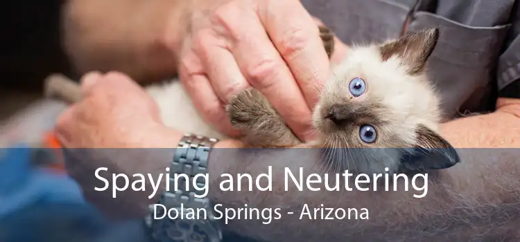Spaying and Neutering Dolan Springs - Arizona