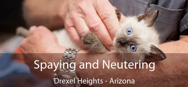 Spaying and Neutering Drexel Heights - Arizona