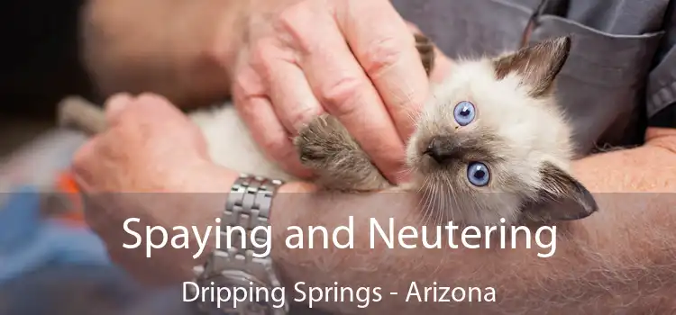 Spaying and Neutering Dripping Springs - Arizona