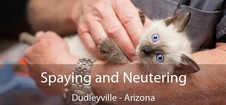 Spaying and Neutering Dudleyville - Arizona