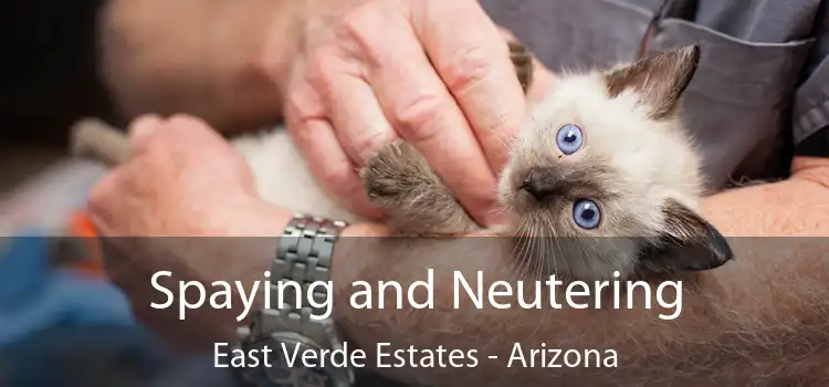 Spaying and Neutering East Verde Estates - Arizona
