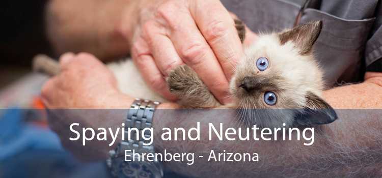 Spaying and Neutering Ehrenberg - Arizona