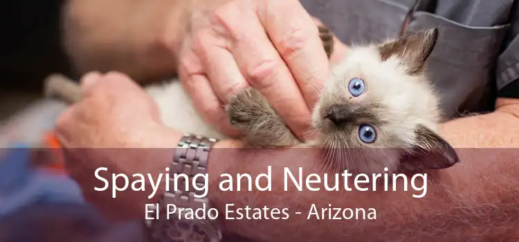 Spaying and Neutering El Prado Estates - Arizona