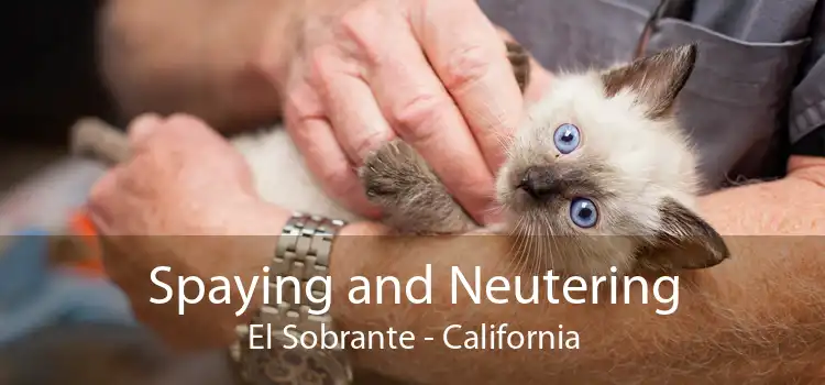 Spaying and Neutering El Sobrante - California