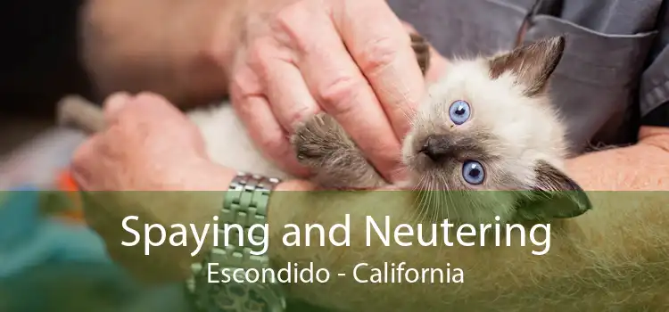 Spaying and Neutering Escondido - California