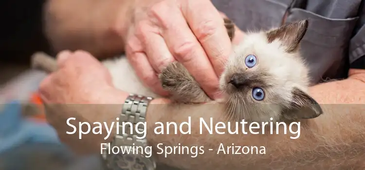 Spaying and Neutering Flowing Springs - Arizona