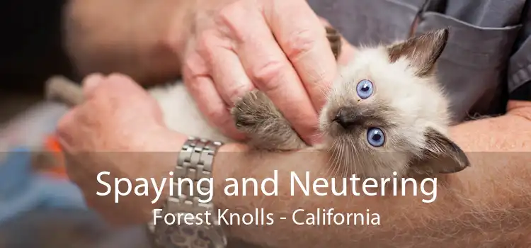 Spaying and Neutering Forest Knolls - California