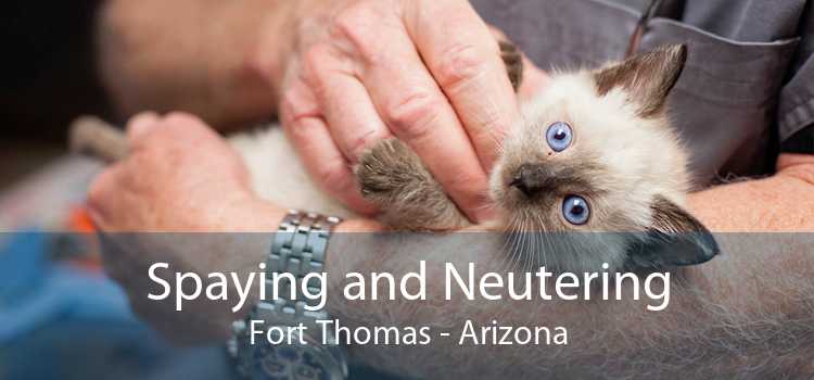 Spaying and Neutering Fort Thomas - Arizona