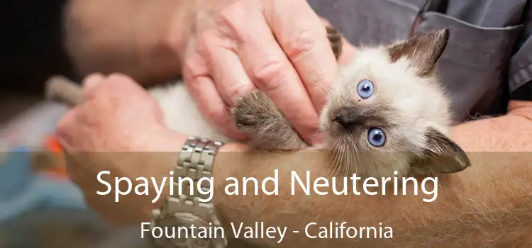Spaying and Neutering Fountain Valley - California