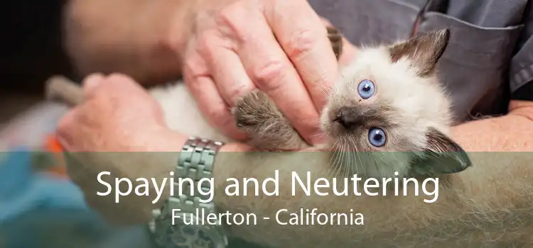 Spaying and Neutering Fullerton - California