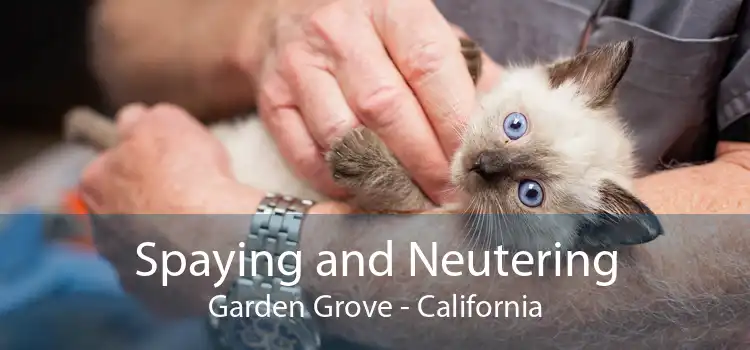 Spaying and Neutering Garden Grove - California