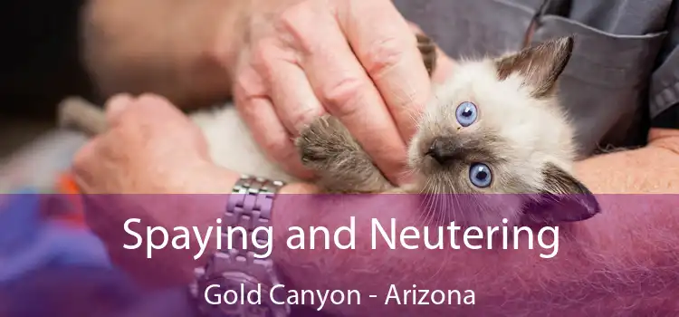 Spaying and Neutering Gold Canyon - Arizona