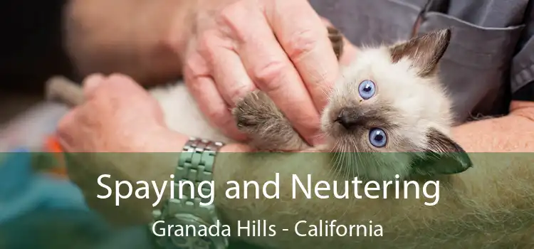 Spaying and Neutering Granada Hills - California
