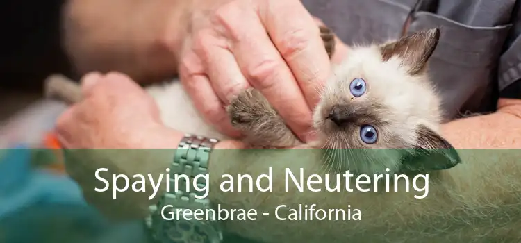 Spaying and Neutering Greenbrae - California