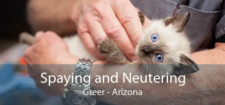Spaying and Neutering Greer - Arizona