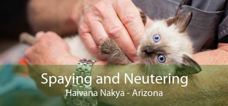 Spaying and Neutering Haivana Nakya - Arizona