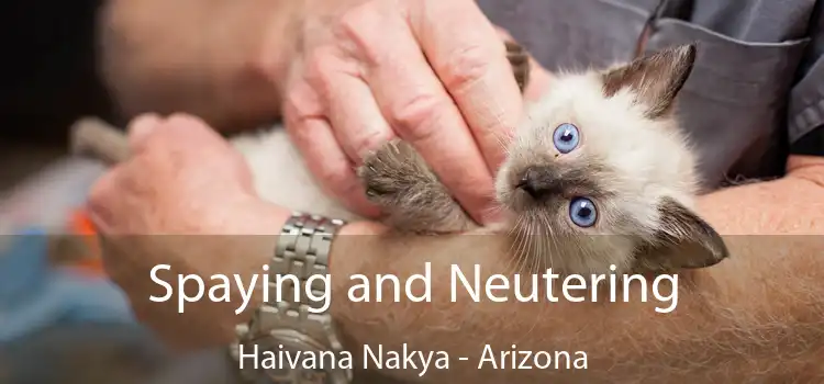 Spaying and Neutering Haivana Nakya - Arizona