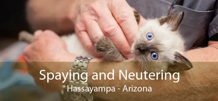 Spaying and Neutering Hassayampa - Arizona