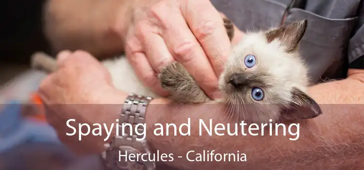 Spaying and Neutering Hercules - California