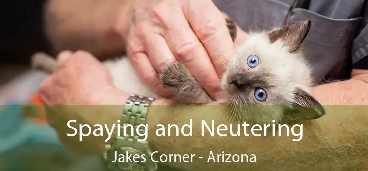 Spaying and Neutering Jakes Corner - Arizona