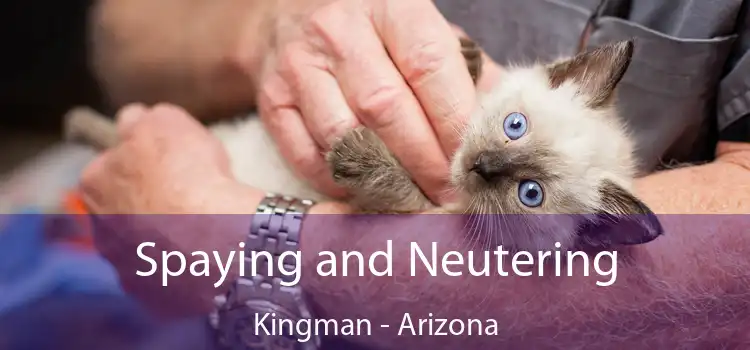 Spaying and Neutering Kingman - Arizona