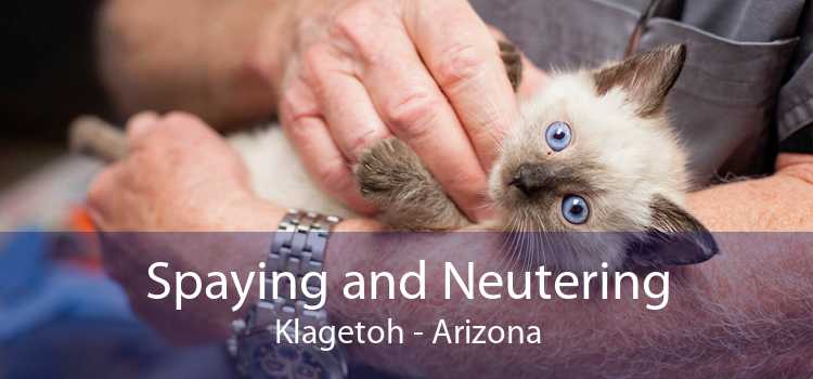 Spaying and Neutering Klagetoh - Arizona