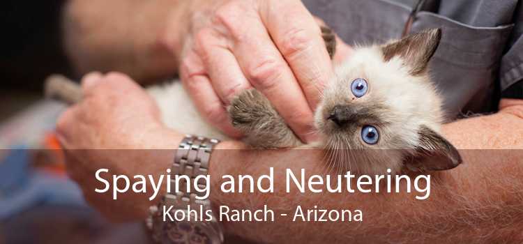 Spaying and Neutering Kohls Ranch - Arizona