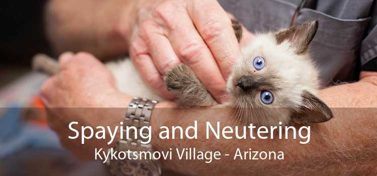 Spaying and Neutering Kykotsmovi Village - Arizona