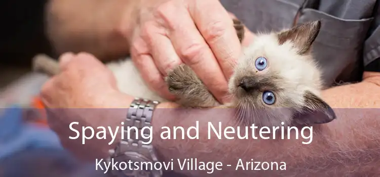 Spaying and Neutering Kykotsmovi Village - Arizona