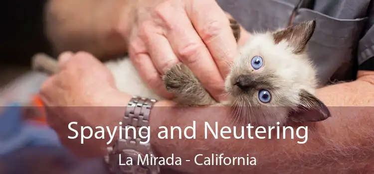 Spaying and Neutering La Mirada - California