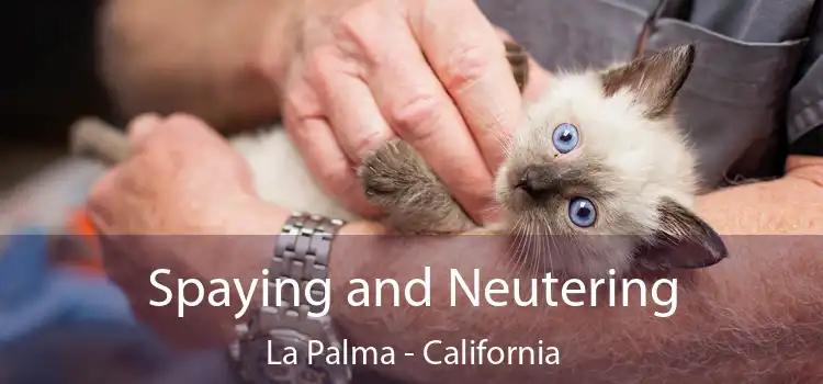 Spaying and Neutering La Palma - California