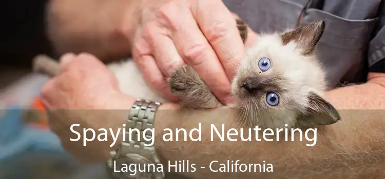 Spaying and Neutering Laguna Hills - California