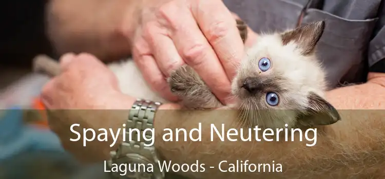 Spaying and Neutering Laguna Woods - California